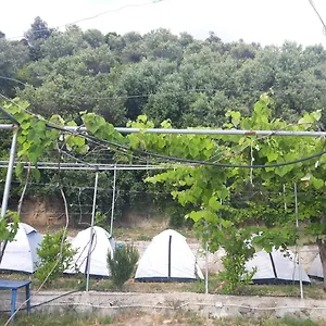 Luxuszelt Jungle In, Borsh